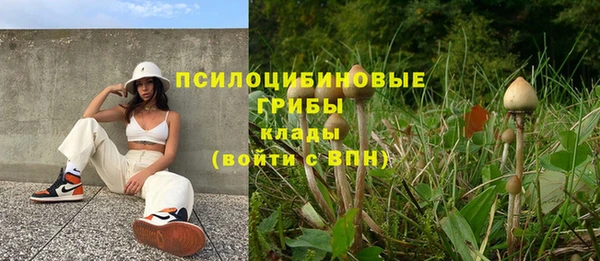 стаф Осташков
