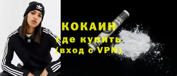 мдпв Пестово
