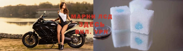 стаф Осташков