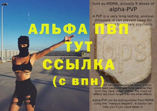 стаф Осташков