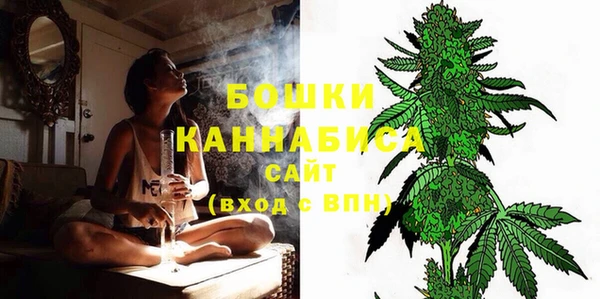 стаф Осташков